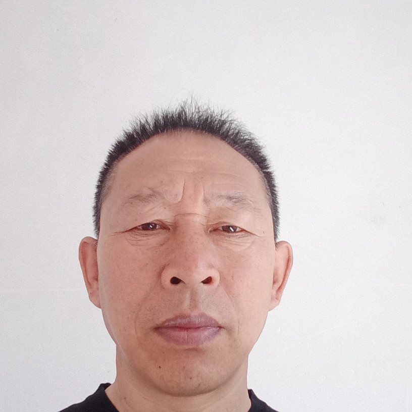 洋葱凝眸温婉的照片