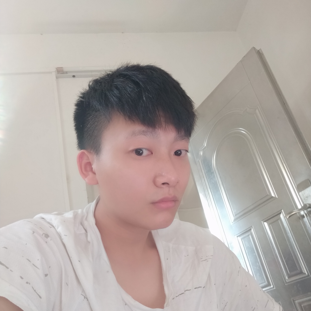 骑猪上高铁的照片