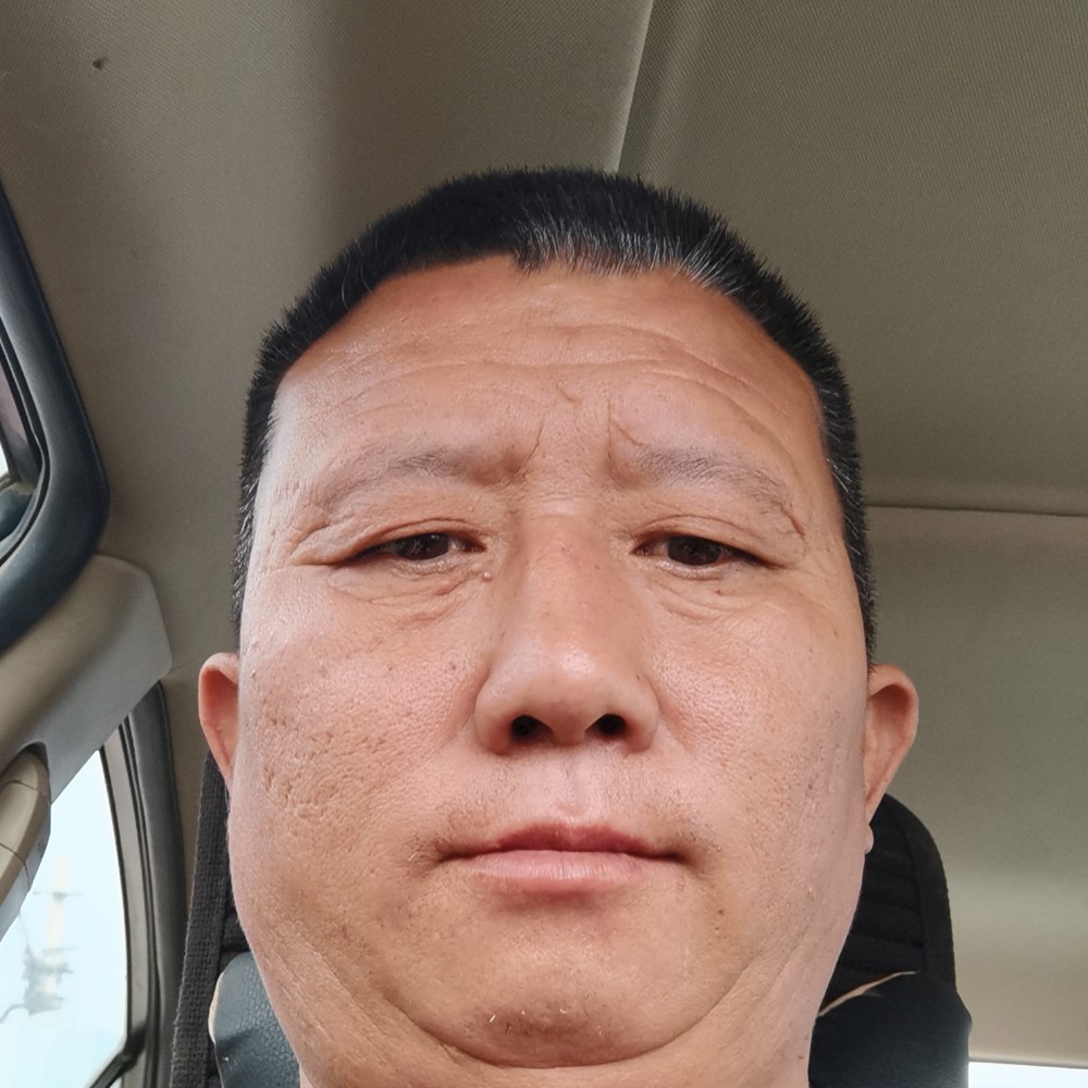 虚心保卫刺猬的照片