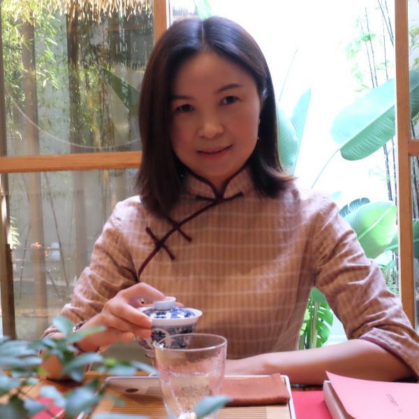 猫咪的猫的照片