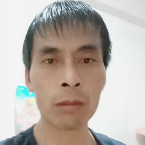 体贴那发夹的照片