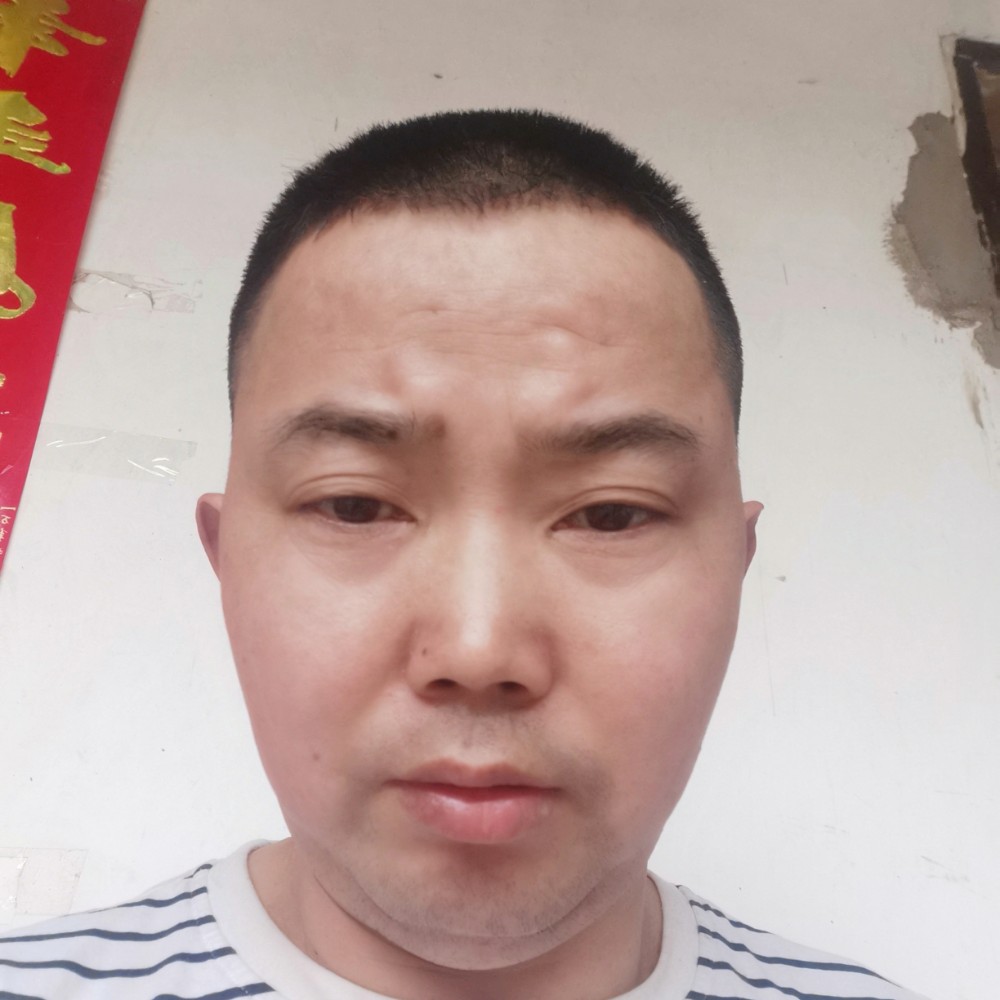 会吃鱼的小猫的照片