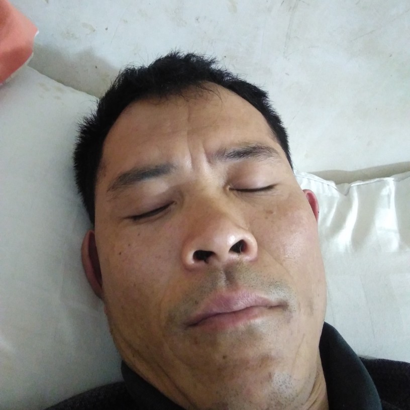 没有真爱的人生的照片