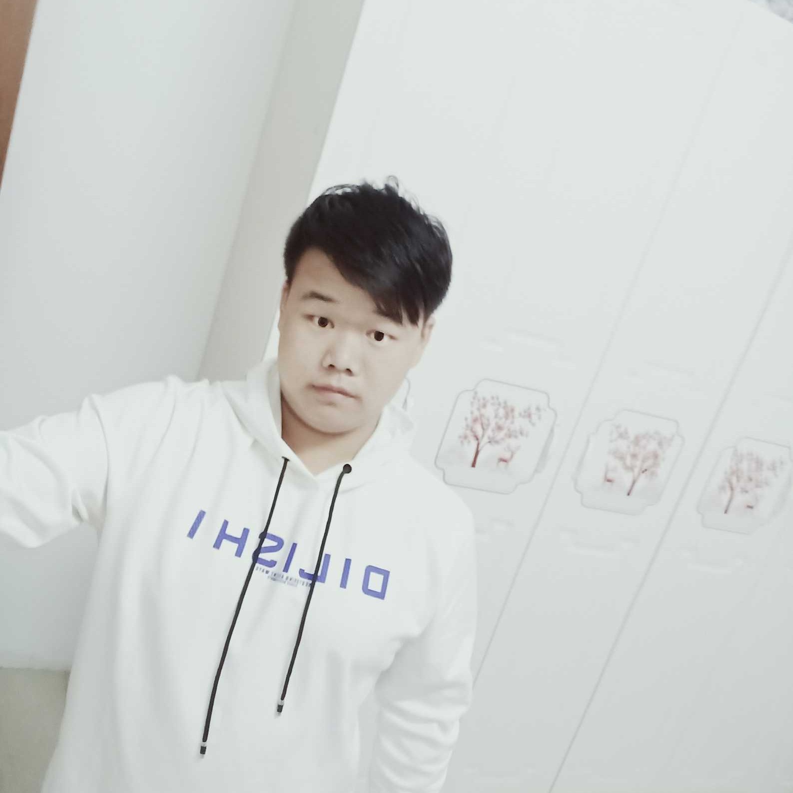 月饼爱明理的照片
