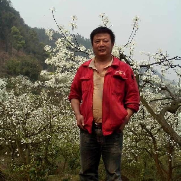 务实平湖的照片