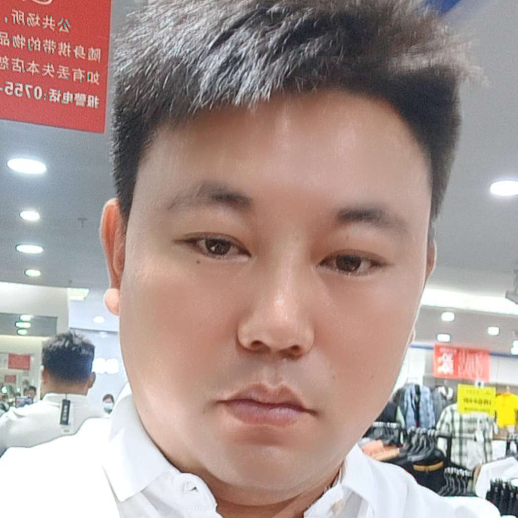 小鸽子向呆萌的照片