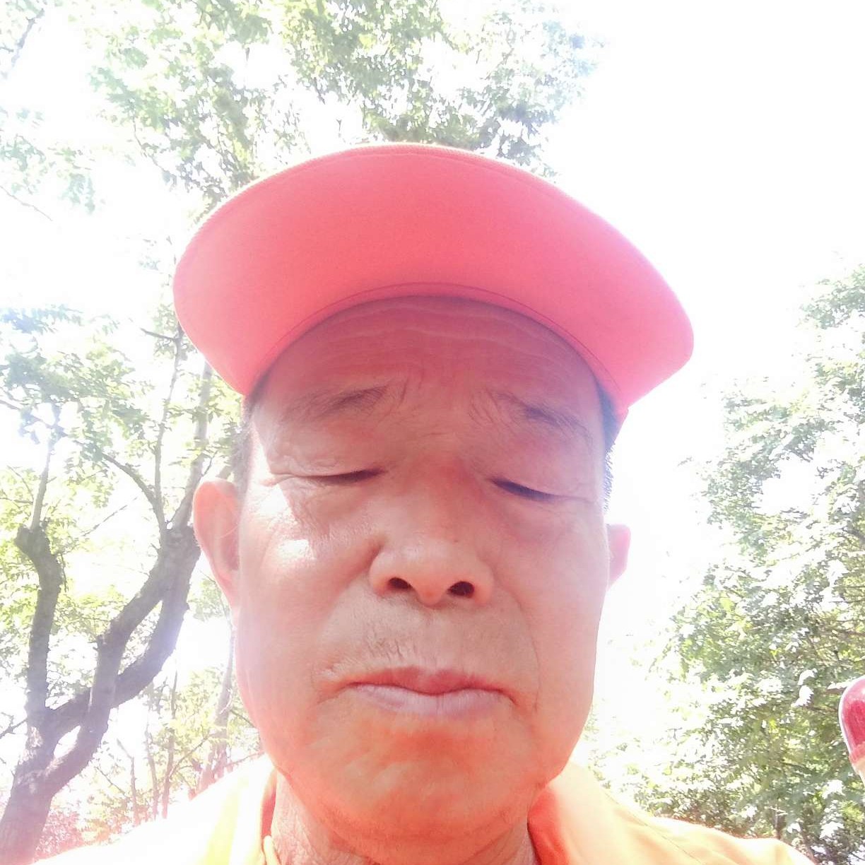 日记本生动的照片