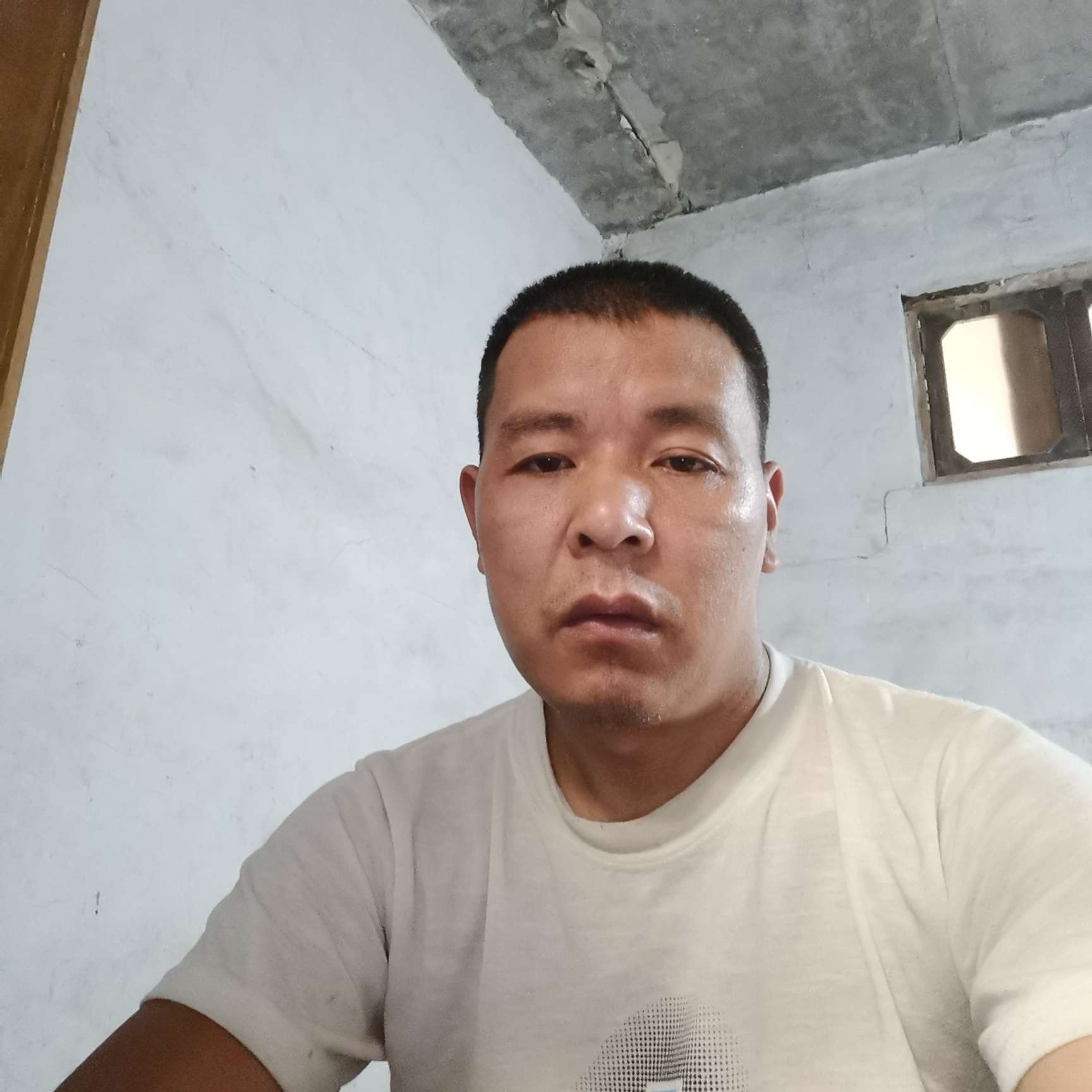 纯真与鱼的照片
