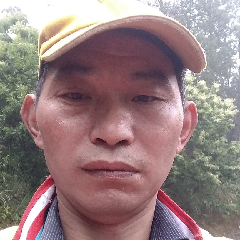 向日葵愿错落的照片