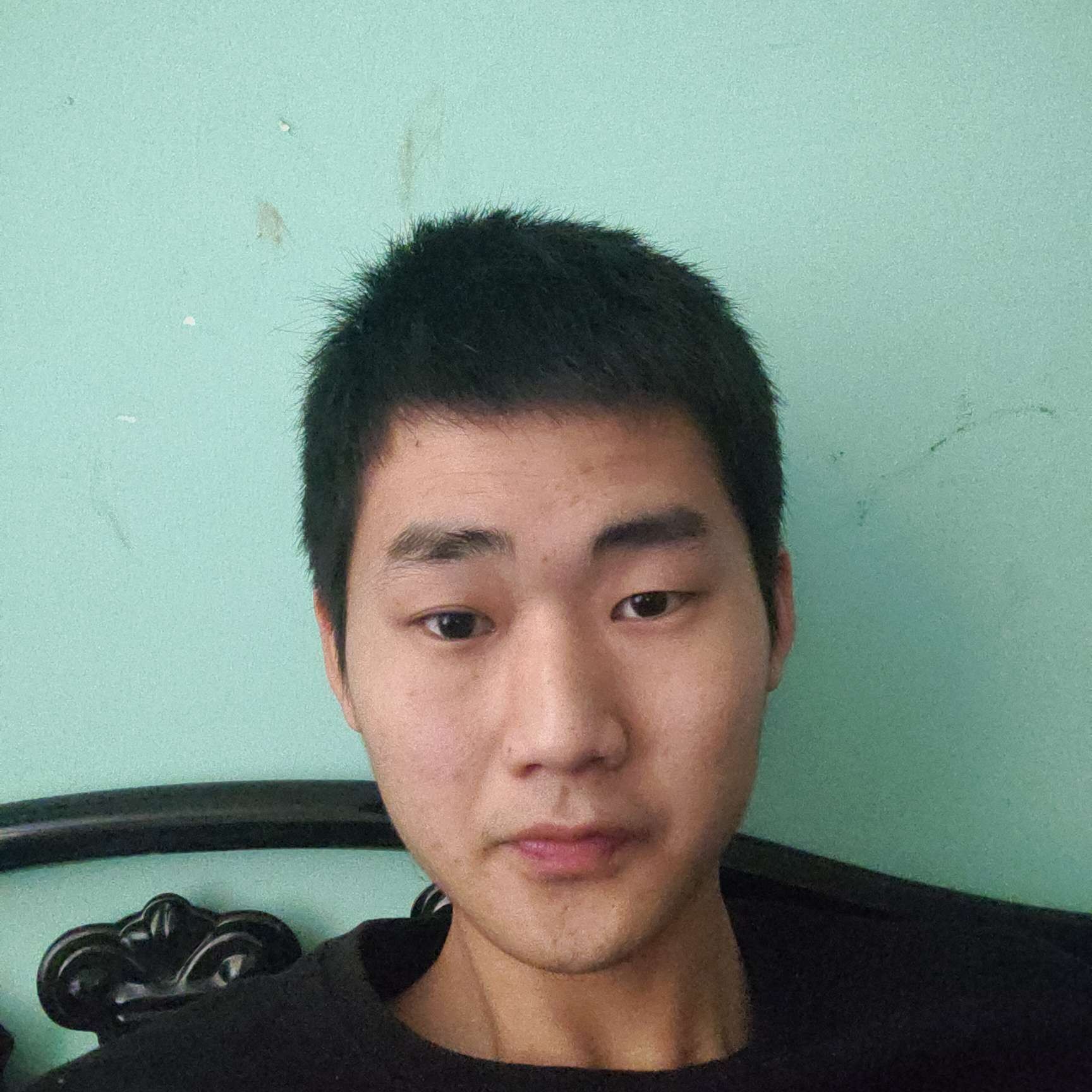 睫毛踢美丽的照片
