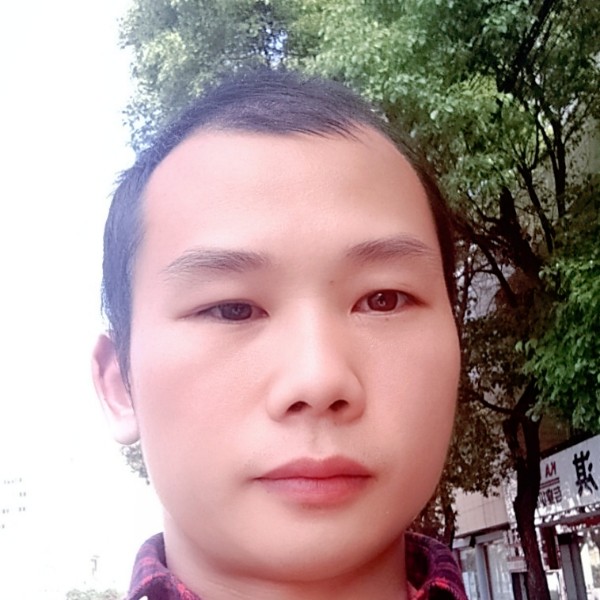 单纯停止南鸢的照片
