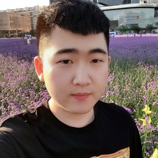 绿草魔幻的照片
