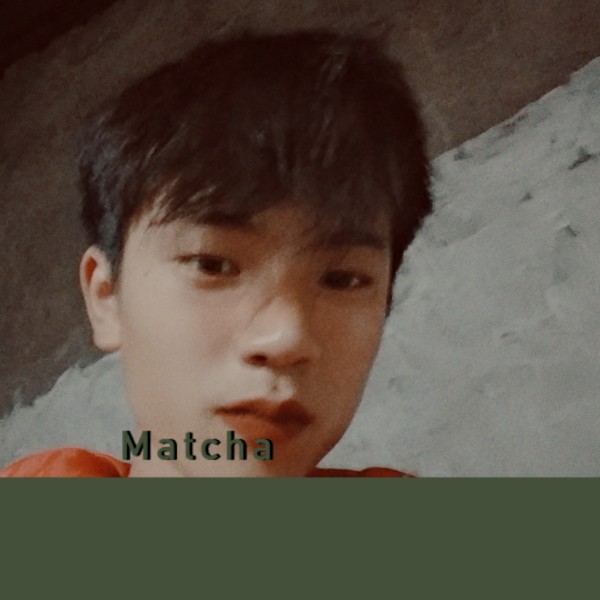 清茗记的照片