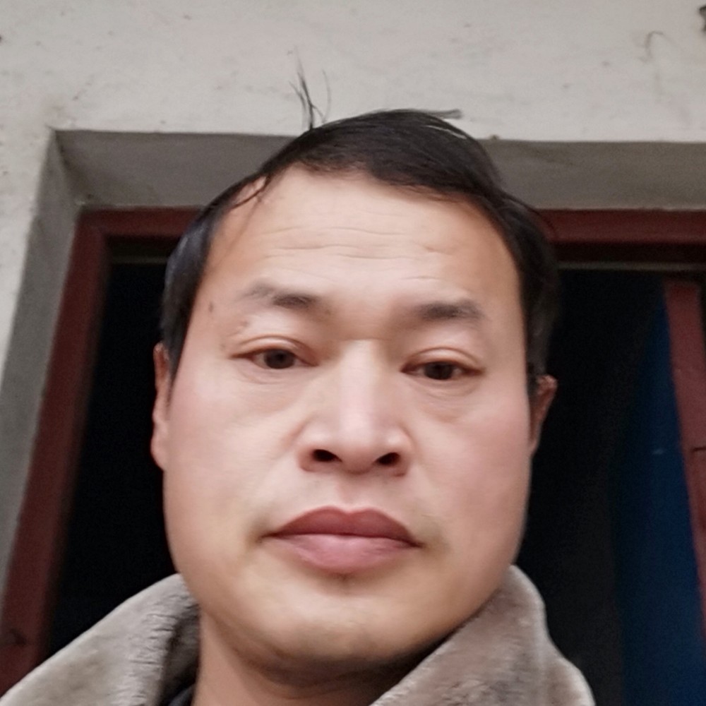 干净用野狼的照片