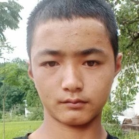 帅气眉毛的照片