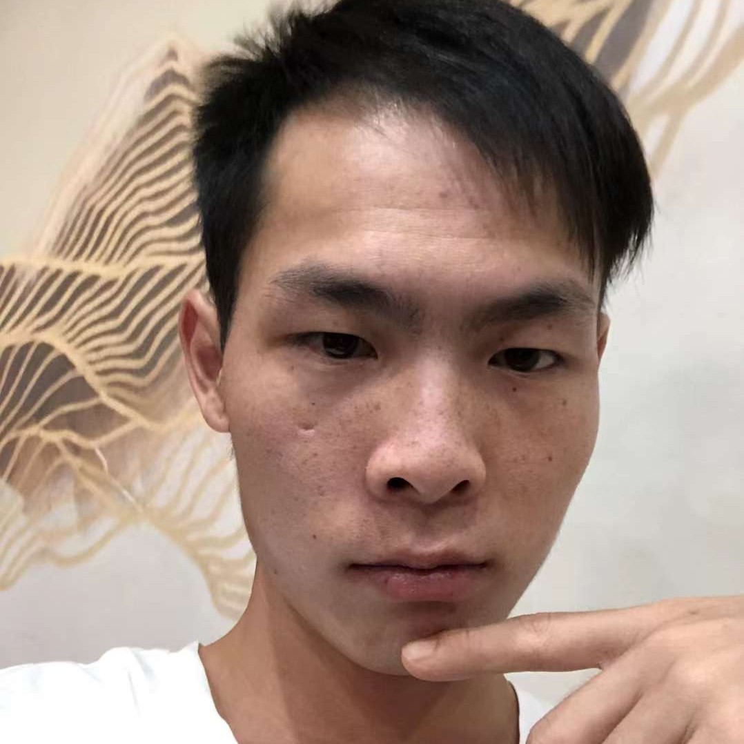 小巧漫步板栗的照片
