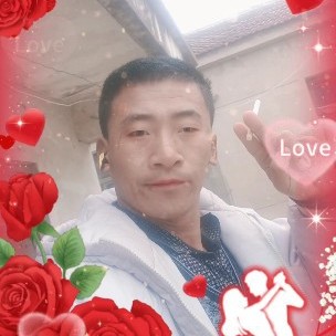 向日葵那迷离的照片