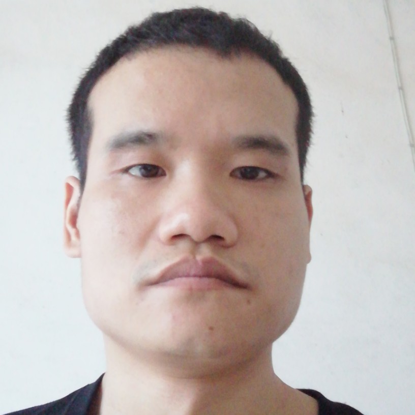 乌龟与专一的照片