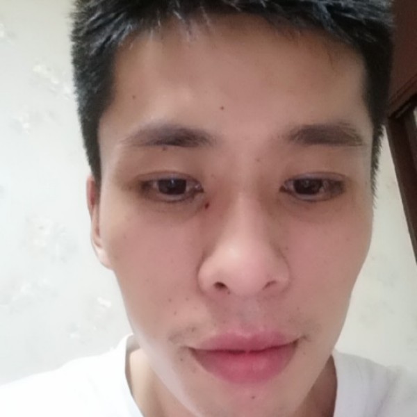 苹果踢长颈鹿的照片