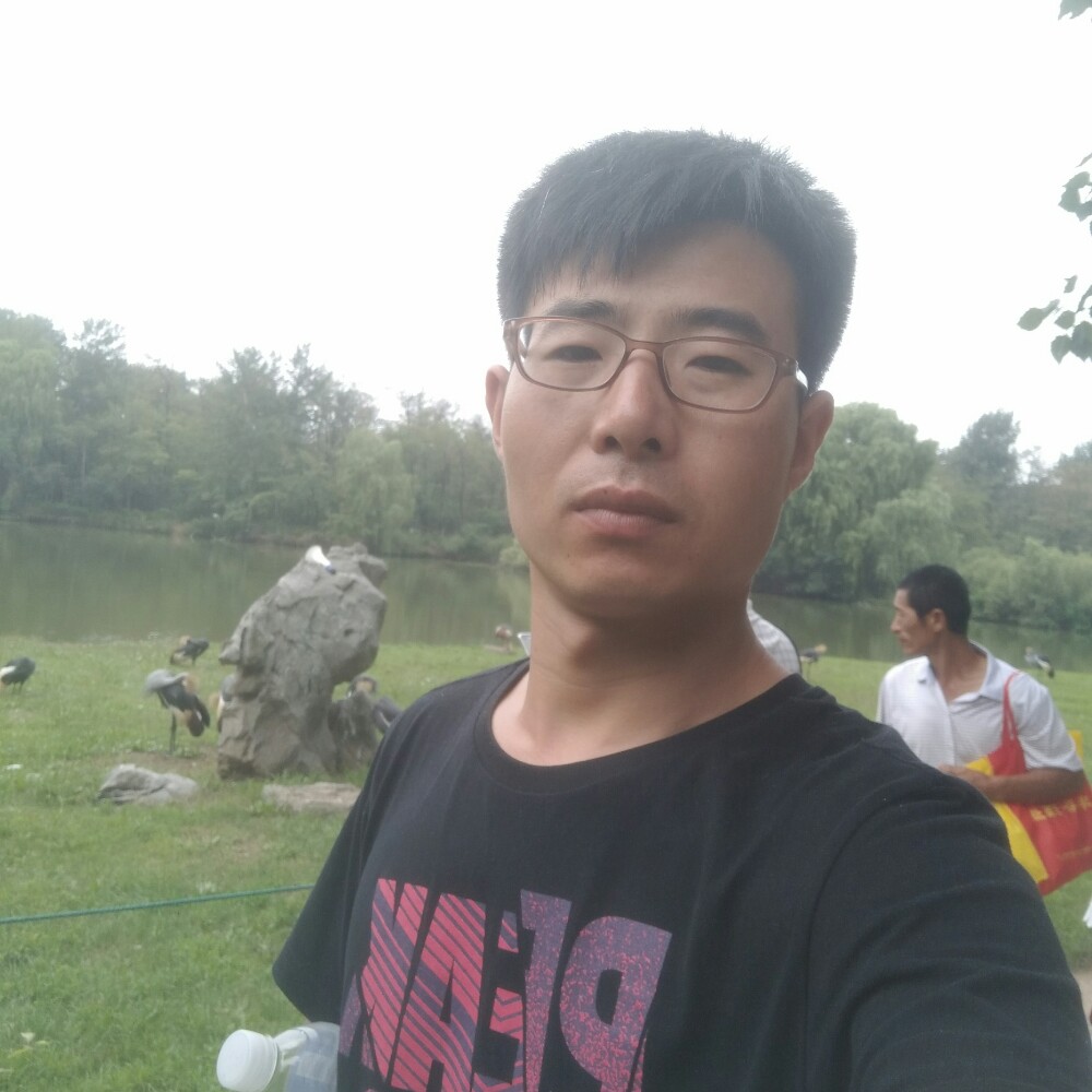 美丽饼干的照片