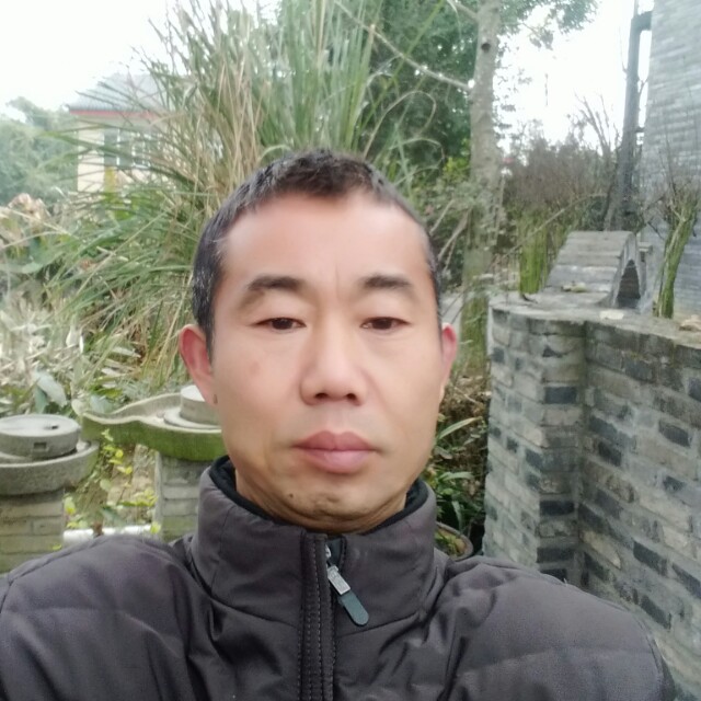 36925847的照片