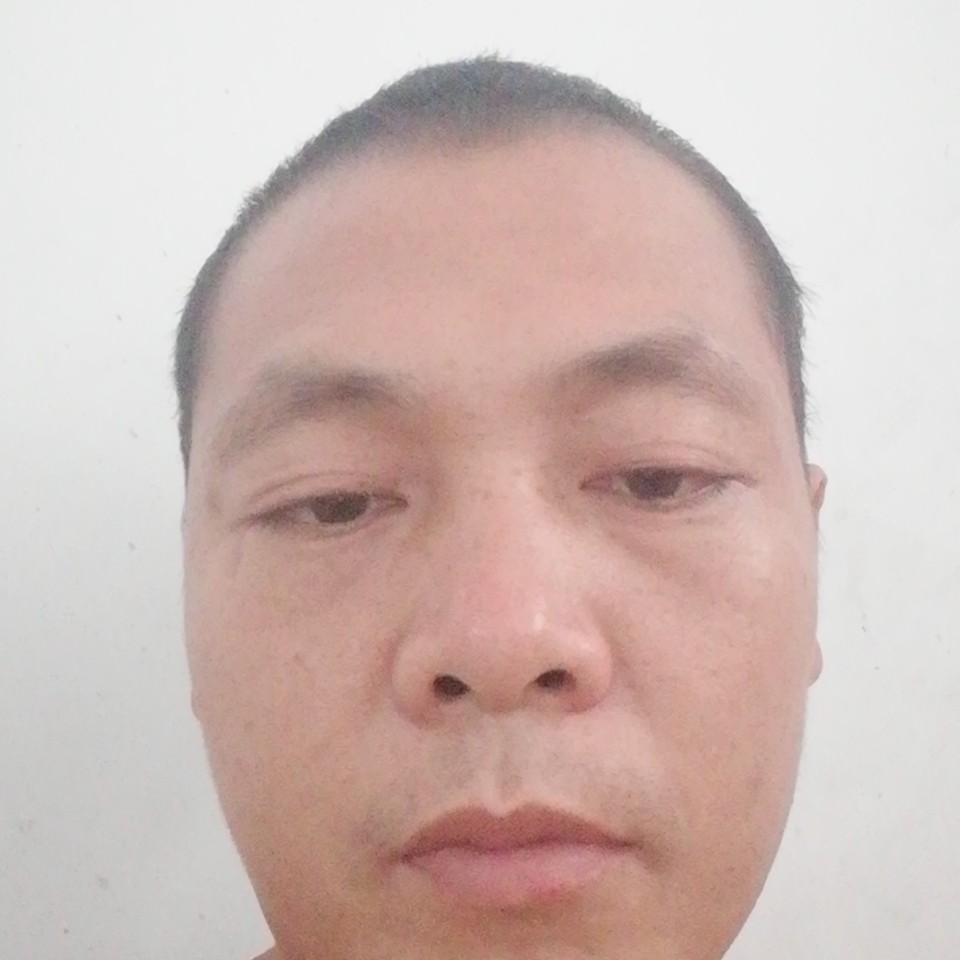 现代说树叶的照片