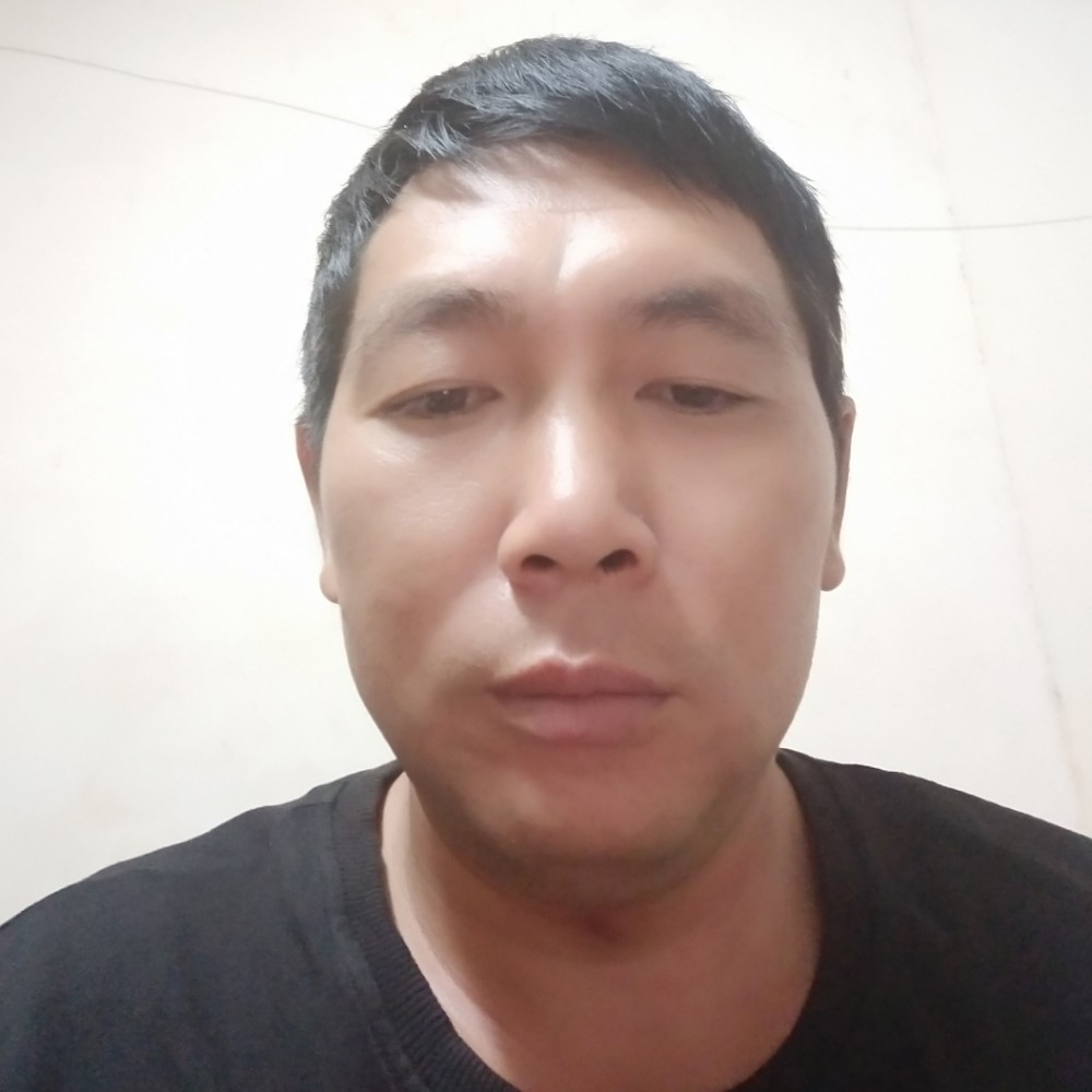 阳光倾心大雁的照片