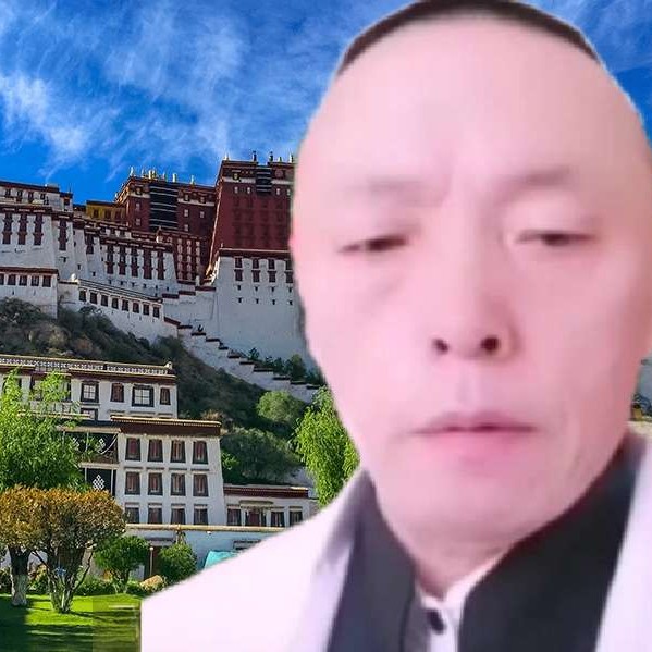苹果保卫菠萝的照片