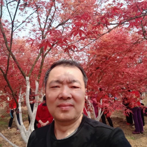 嘉州旅馆的照片