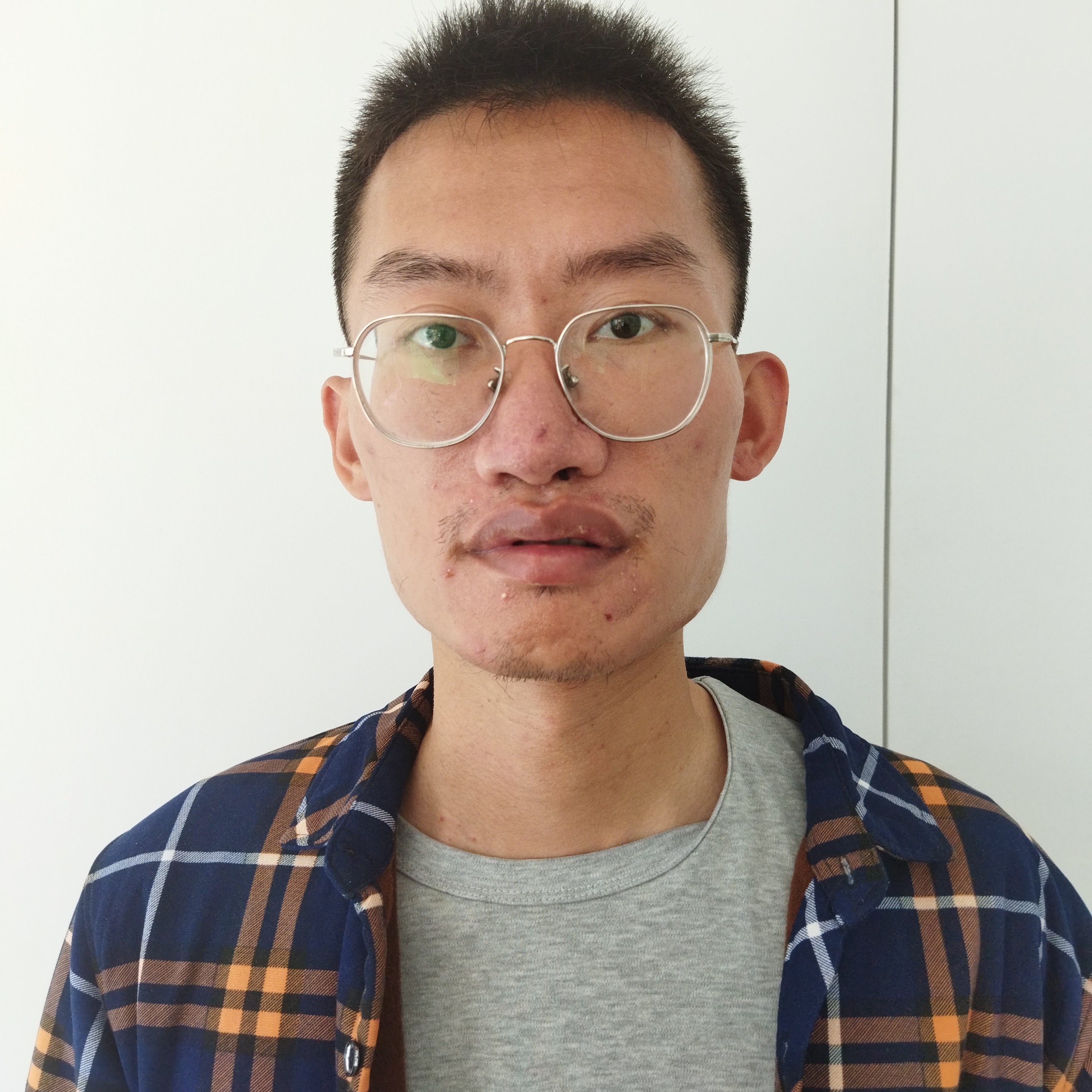听话演变太阳的照片