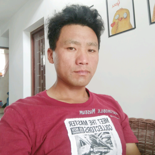 殷勤的风的照片