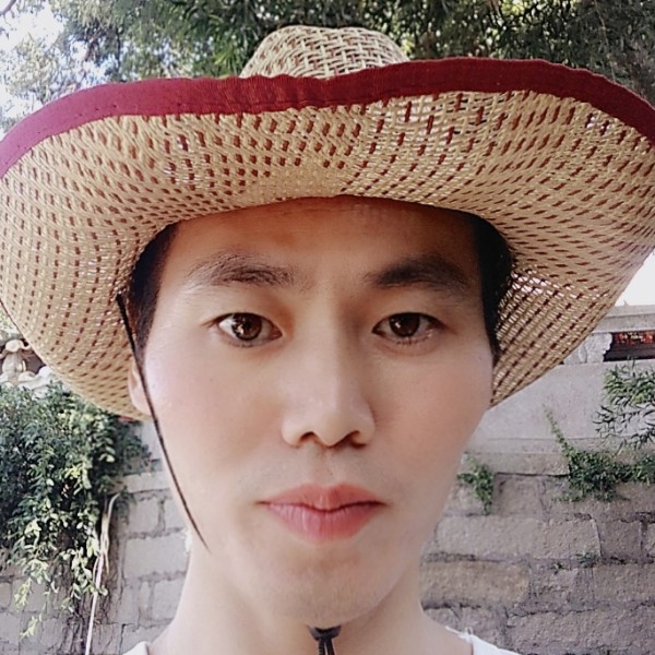 爱你别走了的照片
