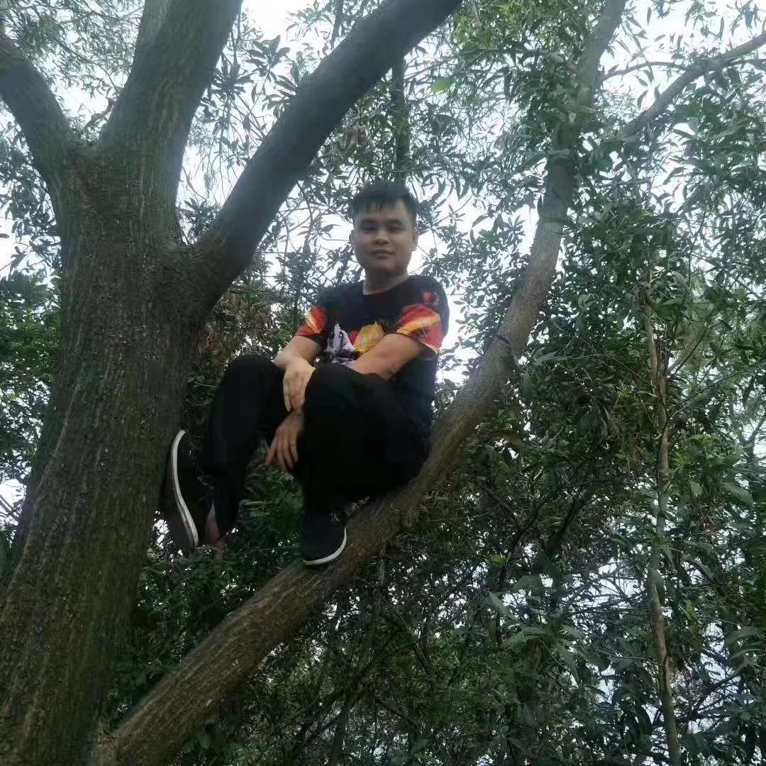 我输给你了的照片