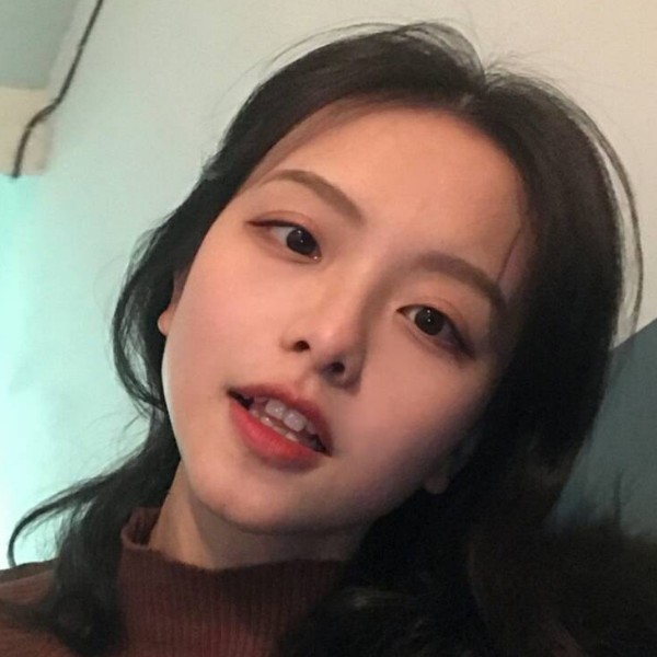 高贵粉兔子的照片