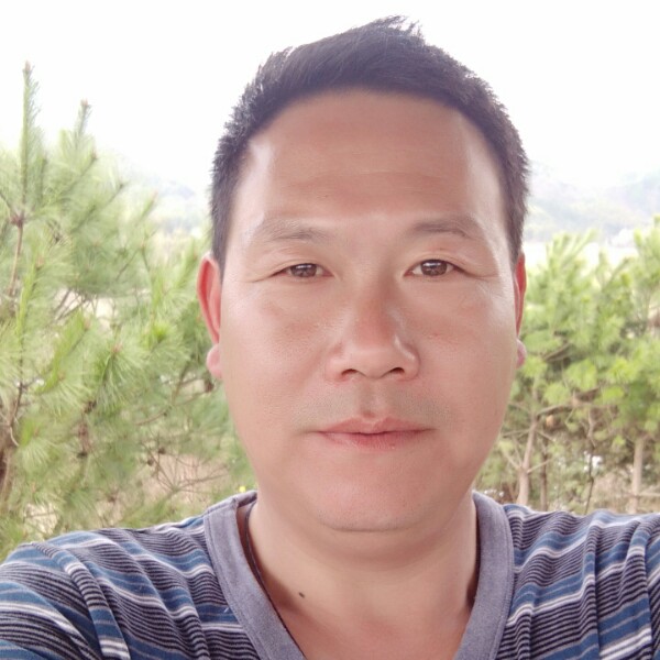 傻傻大船的照片