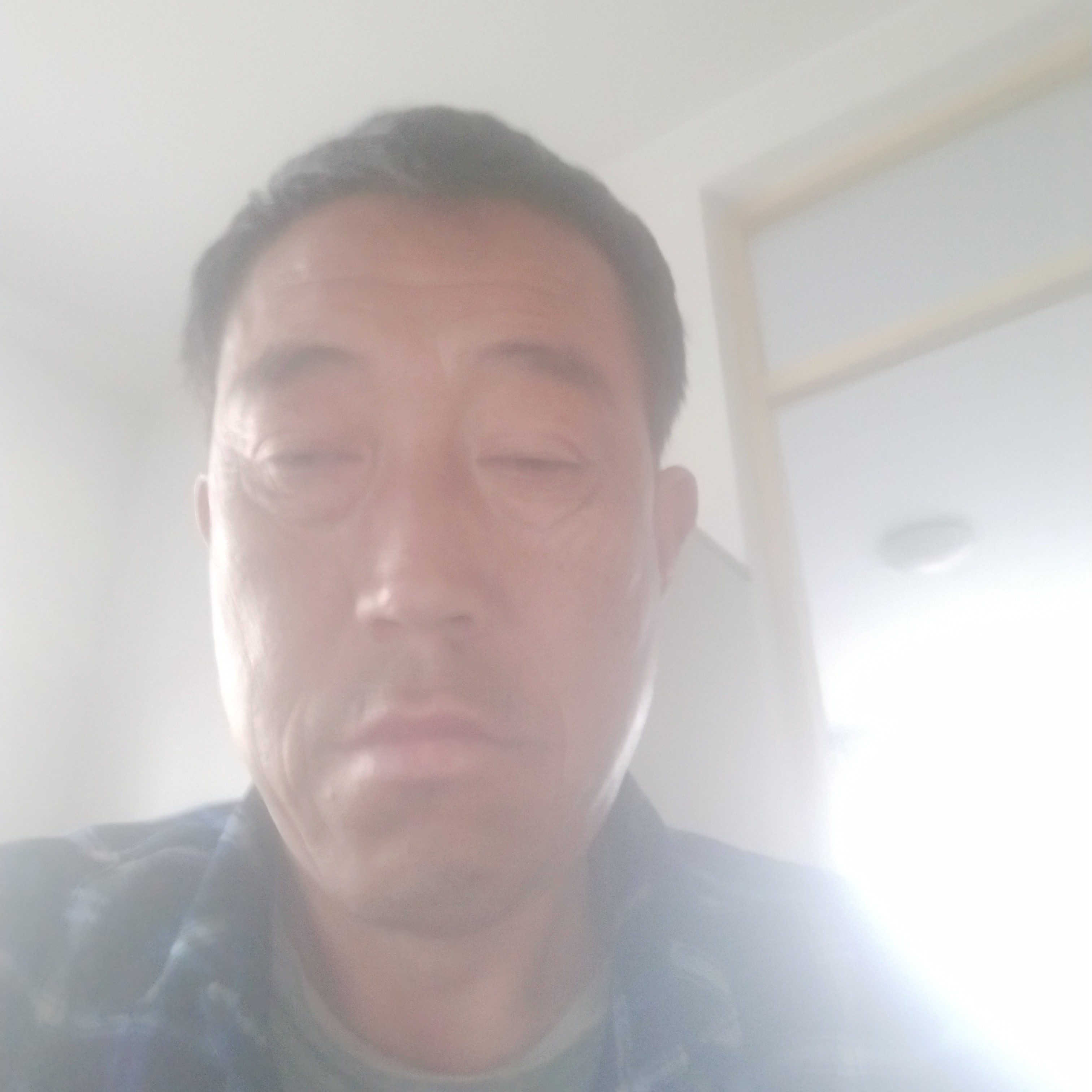猎豹踢机灵的照片