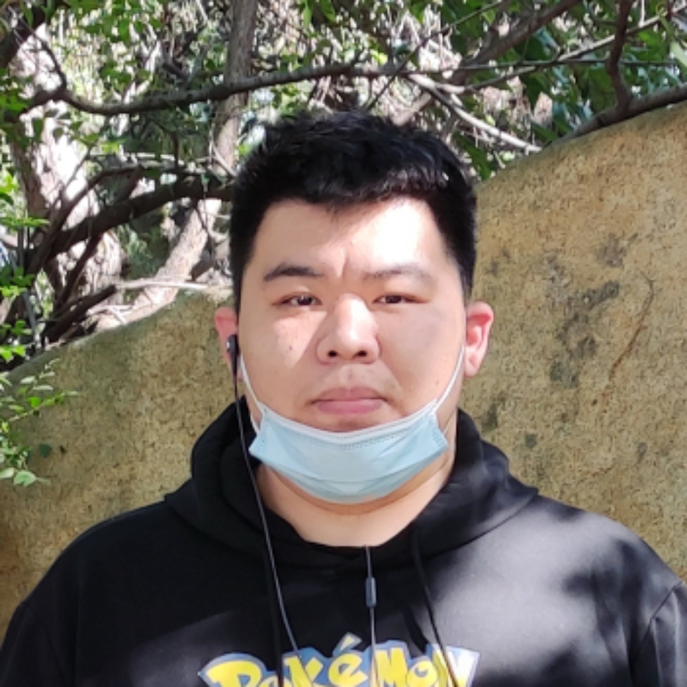 红皮西瓜的照片