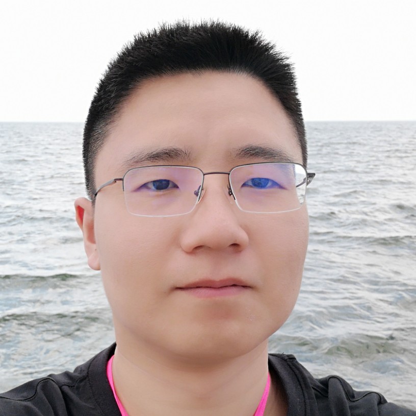 精致的虎的照片