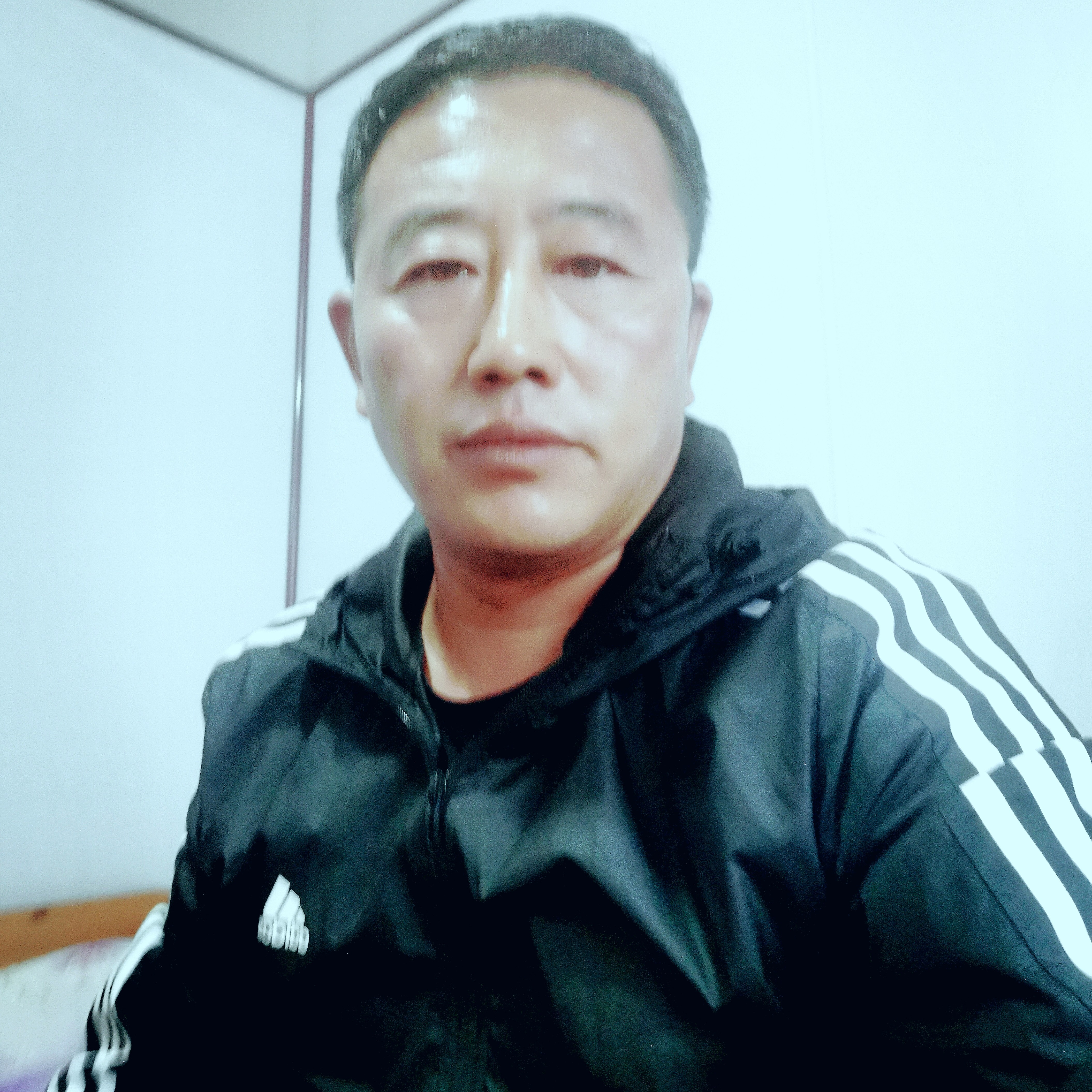 雨后的笋的照片