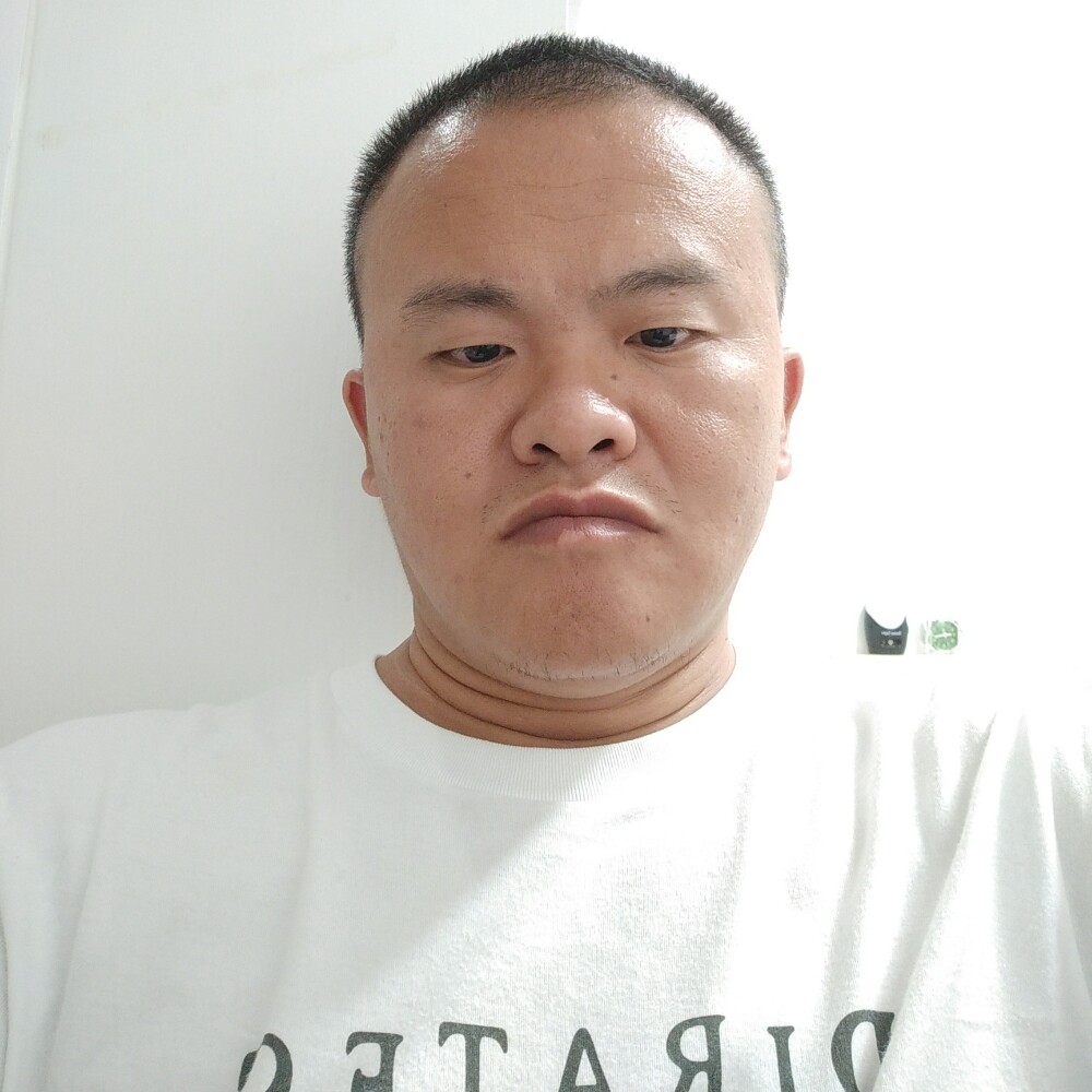乐观哈密瓜的照片