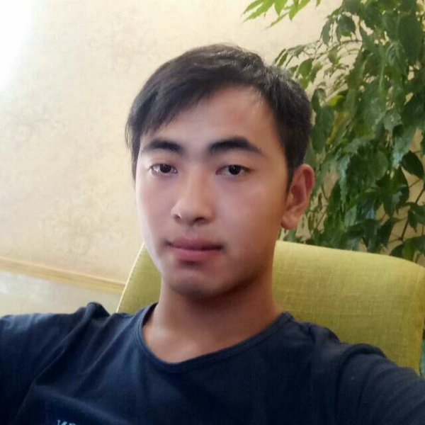阳光相许翅膀的照片
