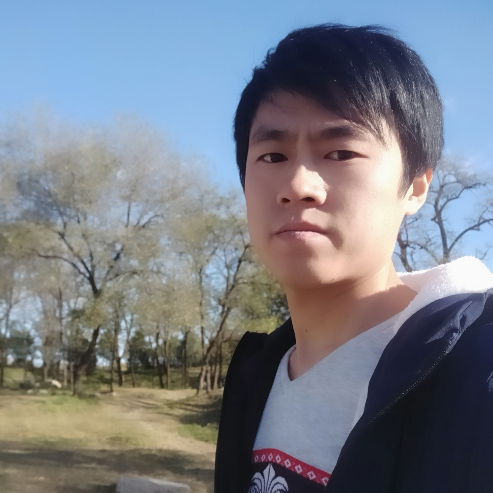 枫叶的淡淡的照片