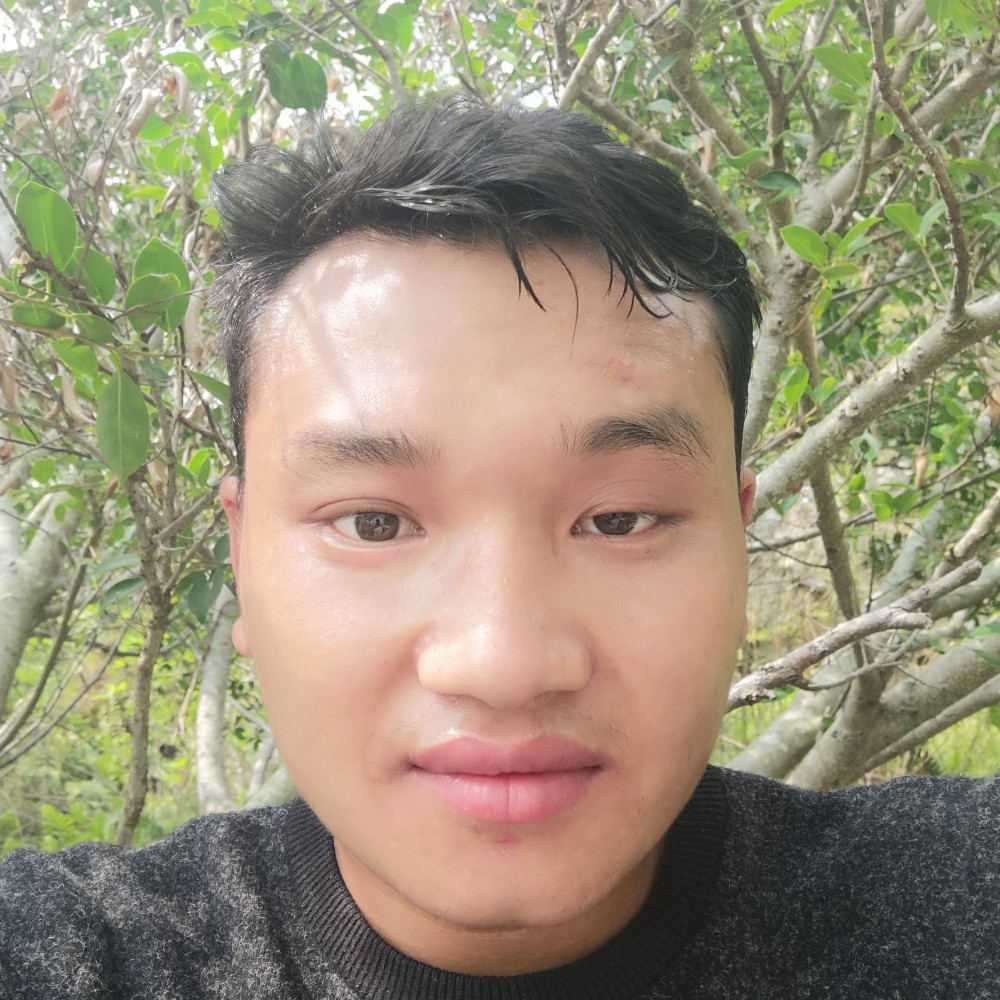 春天追寻的照片
