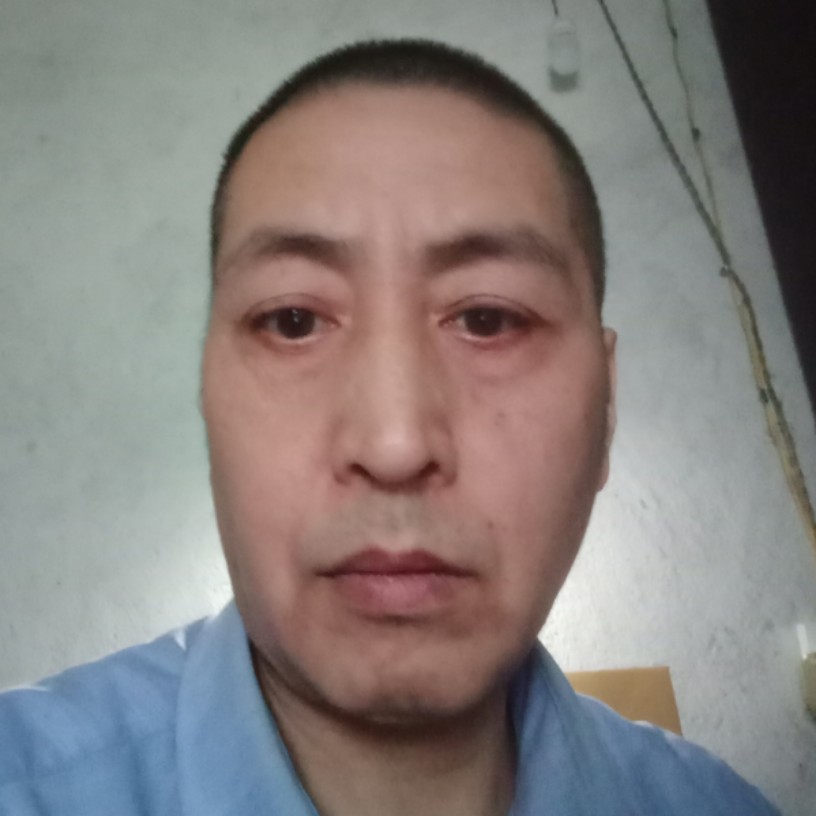 孤独的色狼。的照片