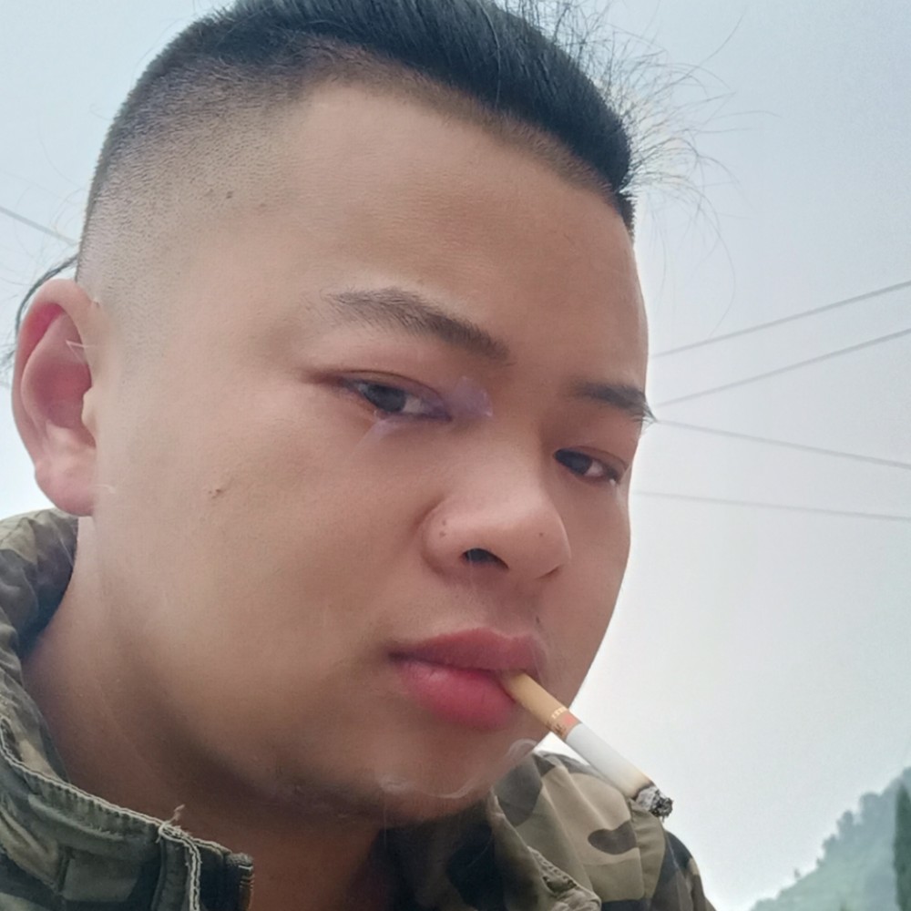 小刺猬拾忆能干的照片