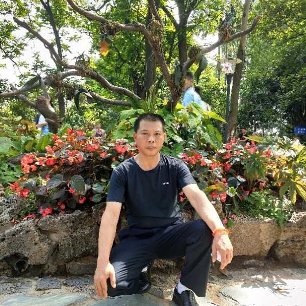 长颈鹿流年的的照片