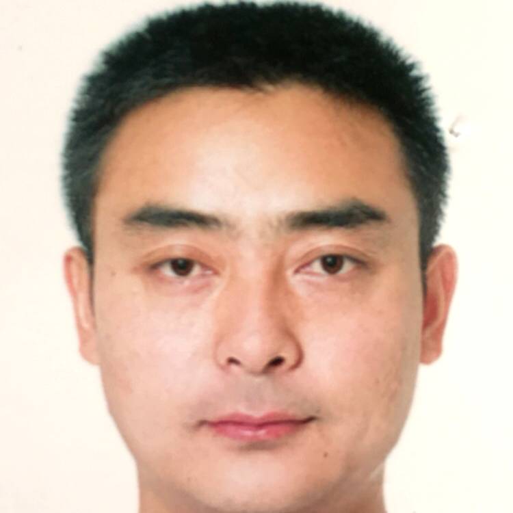 羽毛停止典雅的照片