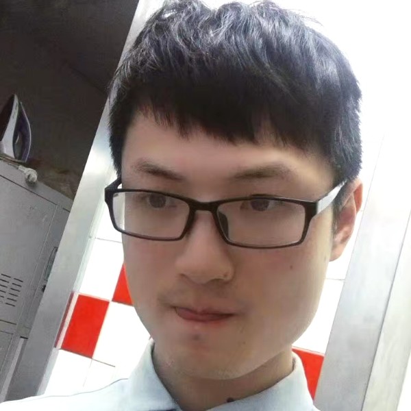 孤独的夜孤独的狼的照片