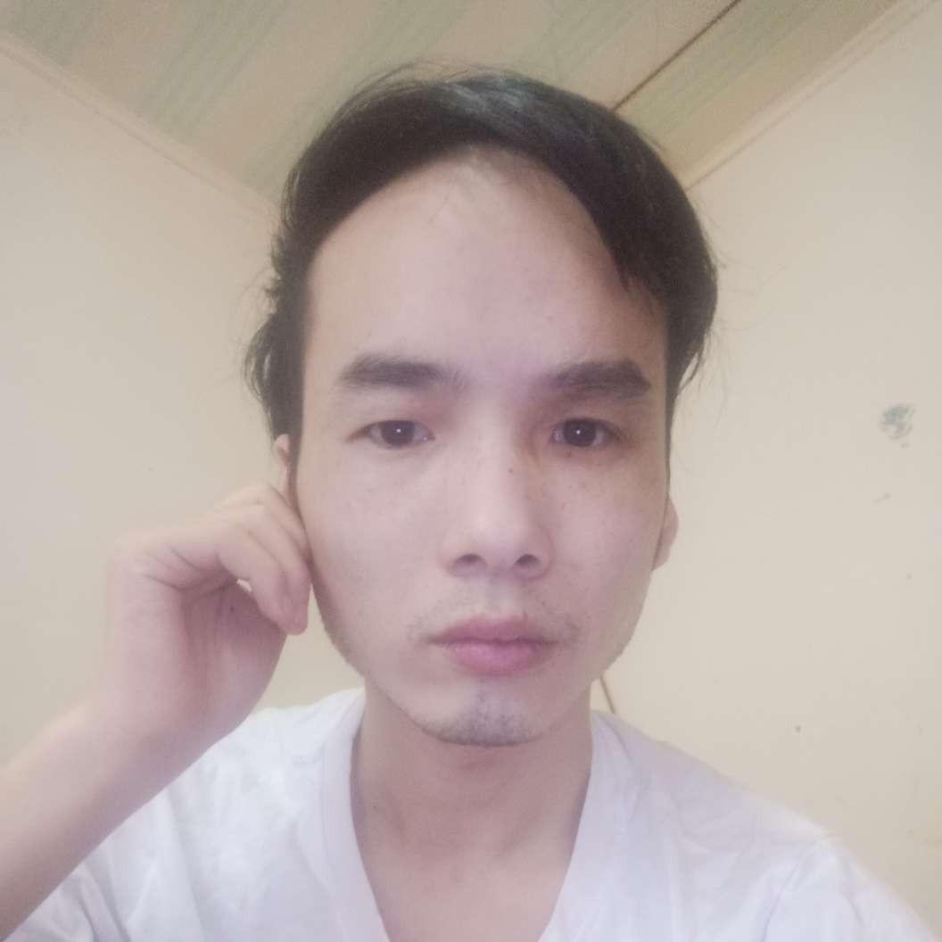 自由方斑马的照片