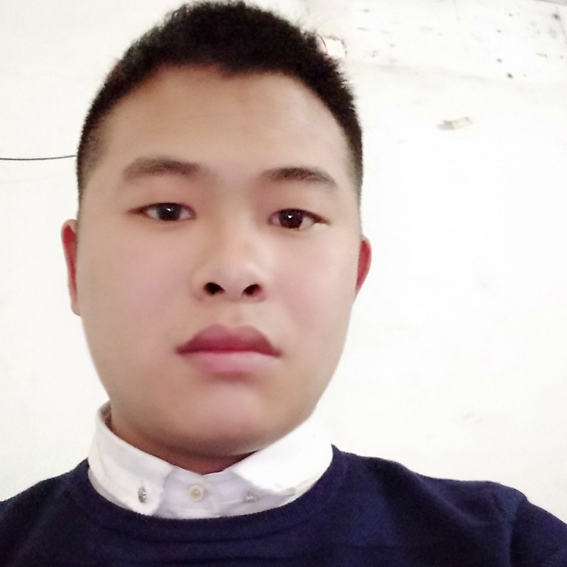 幸福的猪的照片